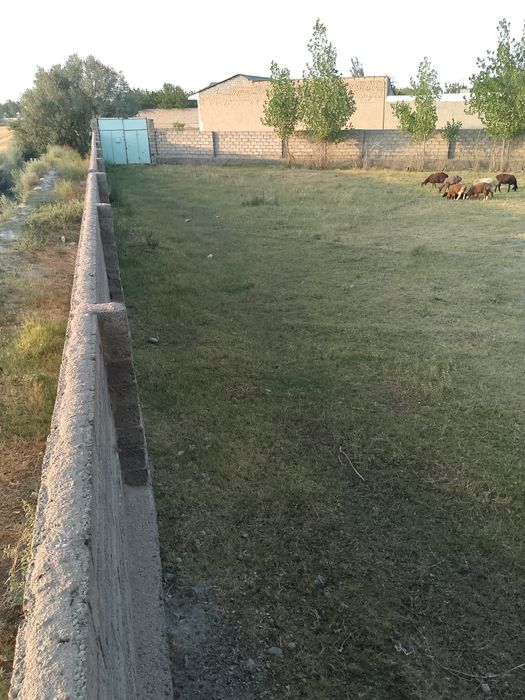 Yer uchastka Uy joy sotiladi qorateri qishlogʻi