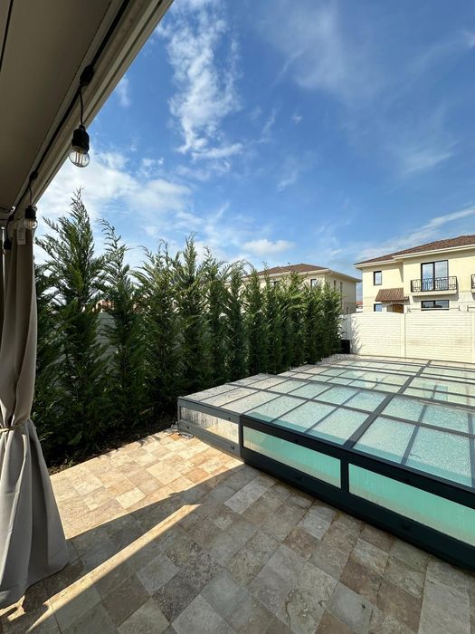 Leylandii pentru gard viu profesional – plante aclimatizate
