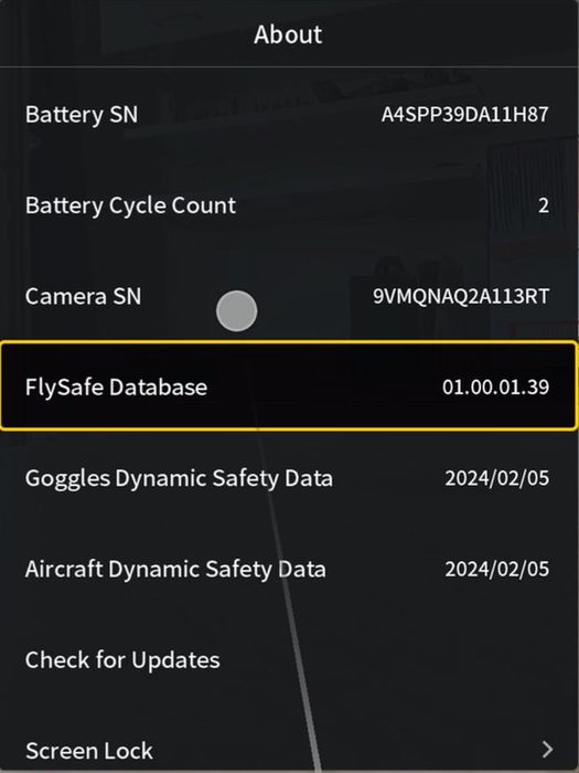 DJI Avata 360 Motion Fly More Combo cu DJI Googles N3