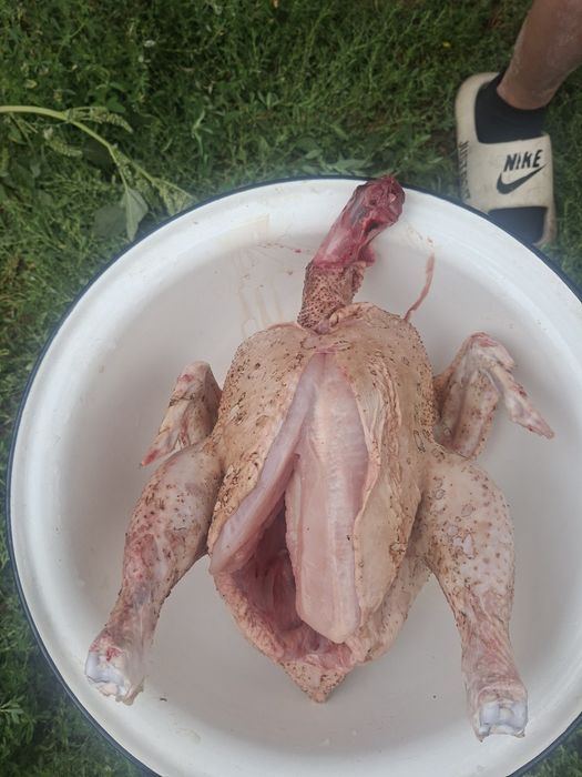 Продам мясо броллера