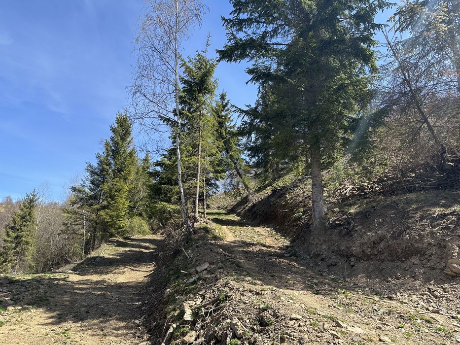 Teren de vanzare in Marisel