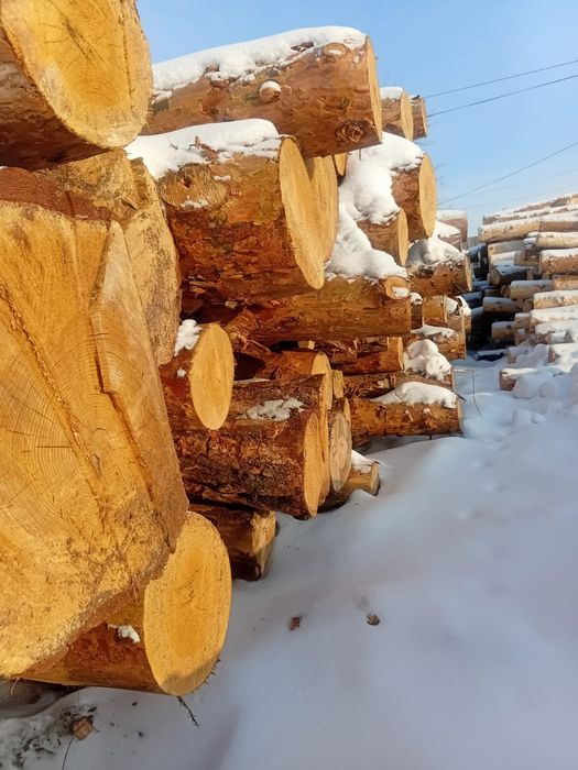 Кругляк,Доска есть в наличии