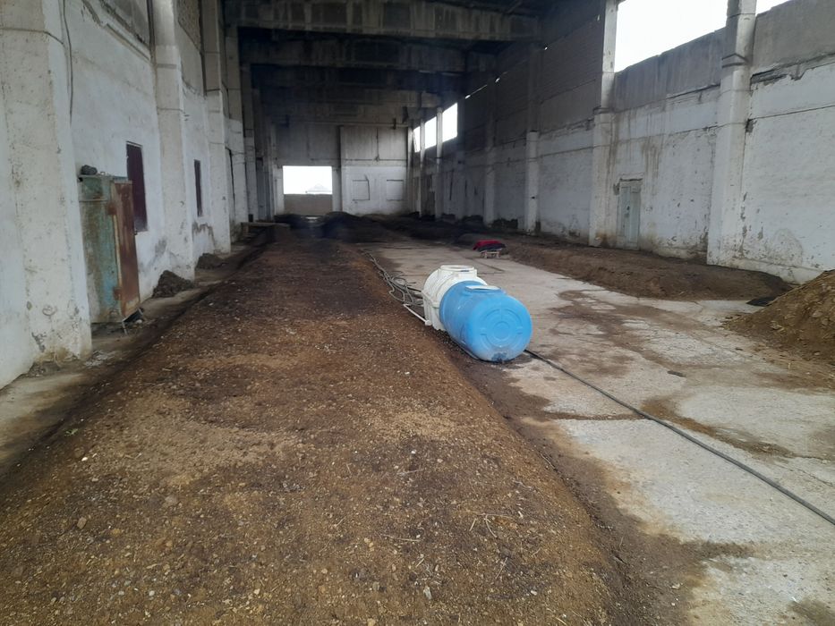 Biyogumis 35 tona bot