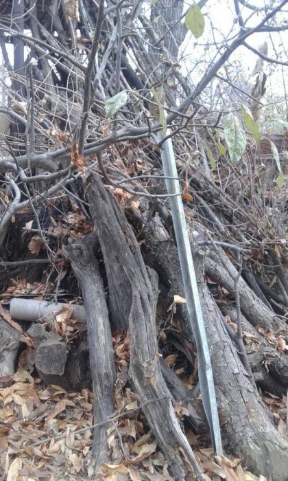 Дрова фруктовые деревья ,тополя