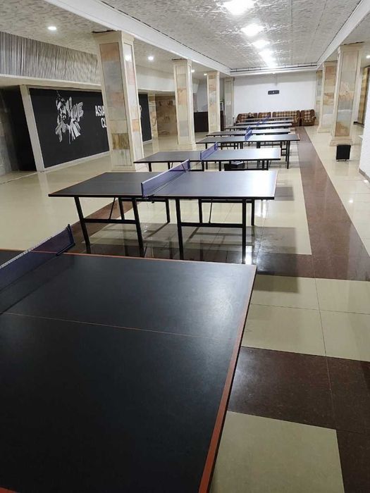 Stol tennis стол тенис ping pong