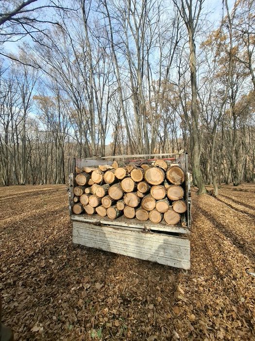 Lemne pentru foc esență tare