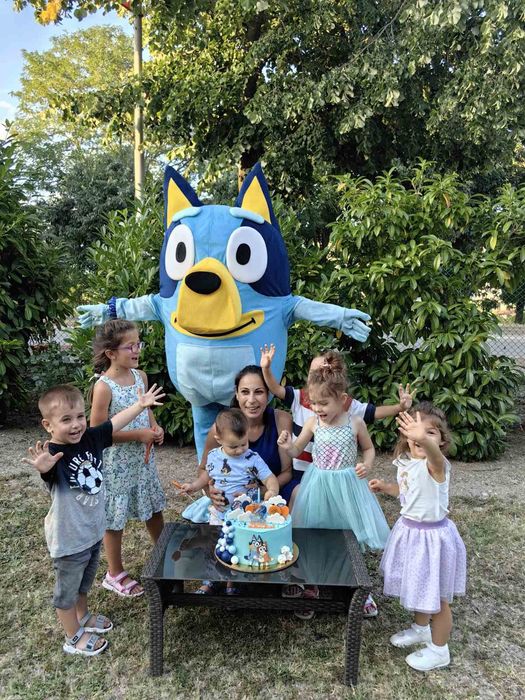 Аниматор Блуи и Бинго