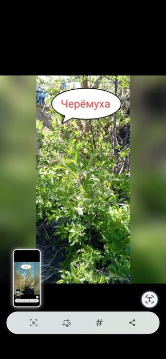 Продаётся деревянный дом