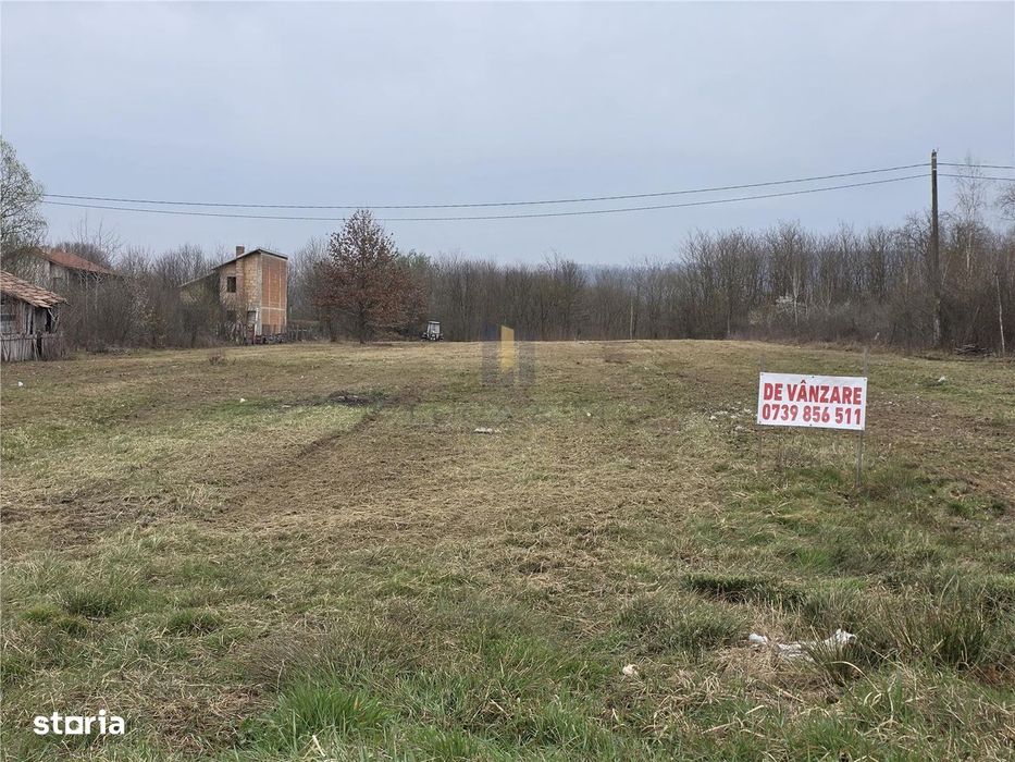 Terenuri zona Case de Vacanta  Lacul Surduc timis