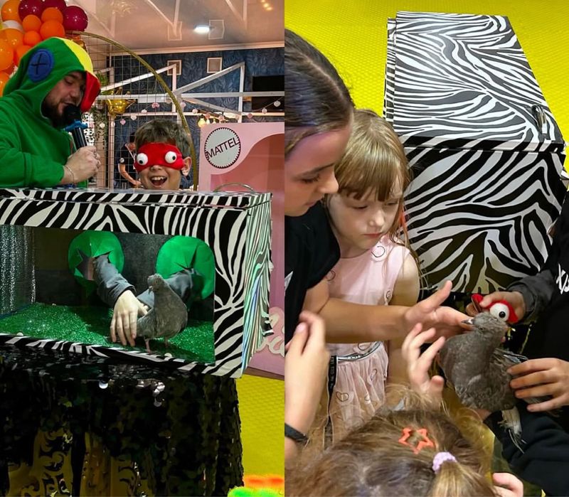 Шоу-коробка «Нащупай!» на праздник