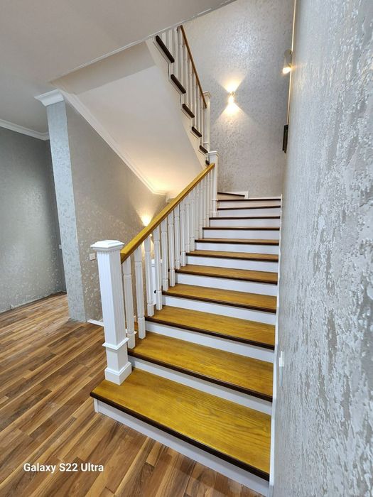 Lesnisa zinalari barcha turdagi