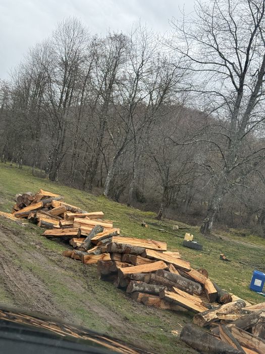 Vindem lemne de foc esențe tarii(fag,gorun,carpen,cer)