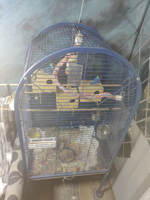 Voliera papagali mari