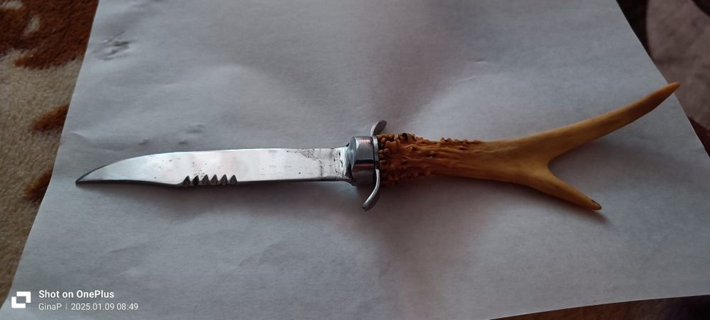 Cutit colectie inox cu lama de 12 cm