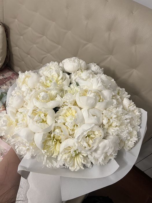 Пионы, новый букет