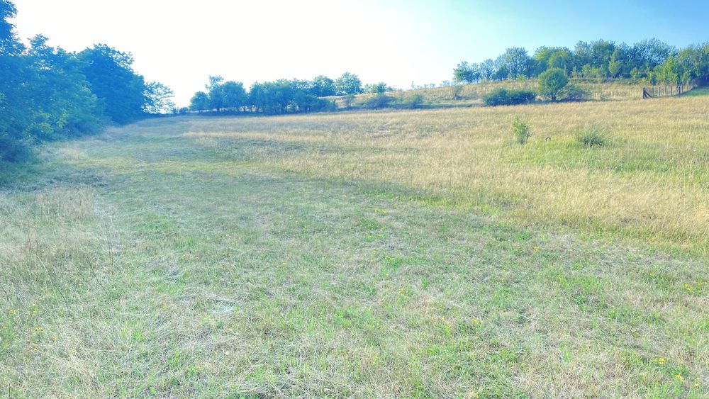 Vând teren extravilan