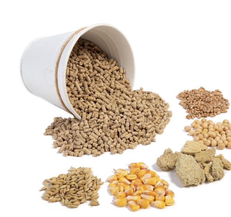 Furaje profesionale si cereale