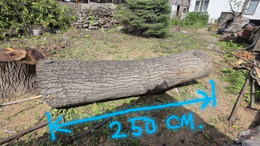Ореховый ствол 2.5 метра. Цена договорная.