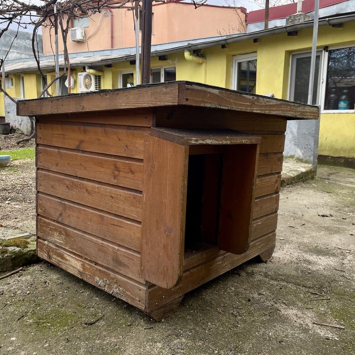 Cotet lemn caine talie medie