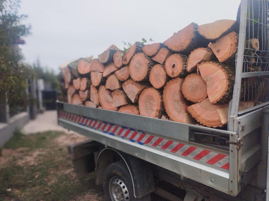 Lemne de foc fag carpăn frasan stejar