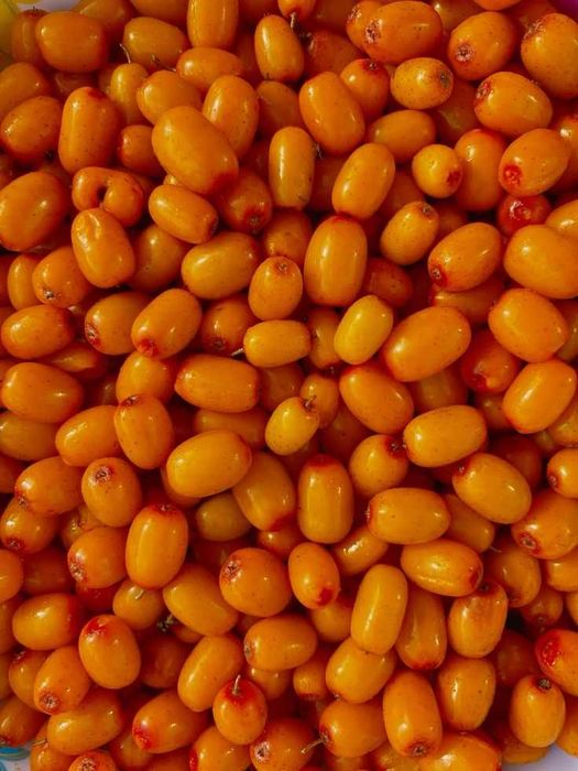 Продам 5 литров домашней облепихи