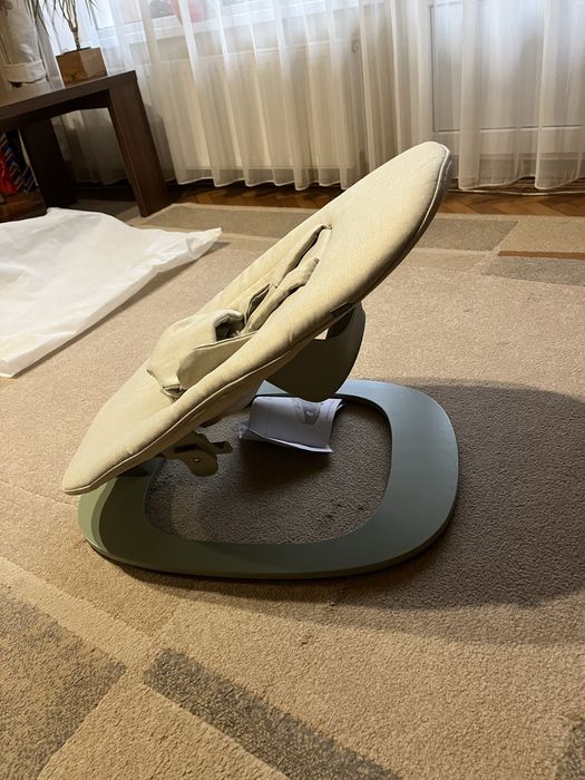 Leagan Adinish, firma  Ziza