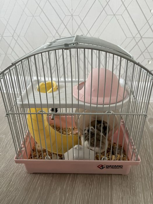 Продам хомяков с клеткой