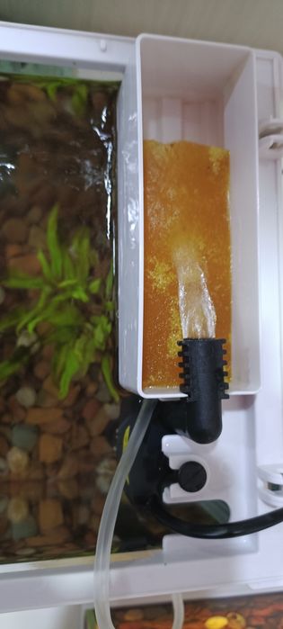Продам аквариум с рыбками гуппи