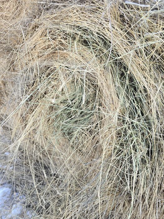 Рулоны пр 110 200 кг