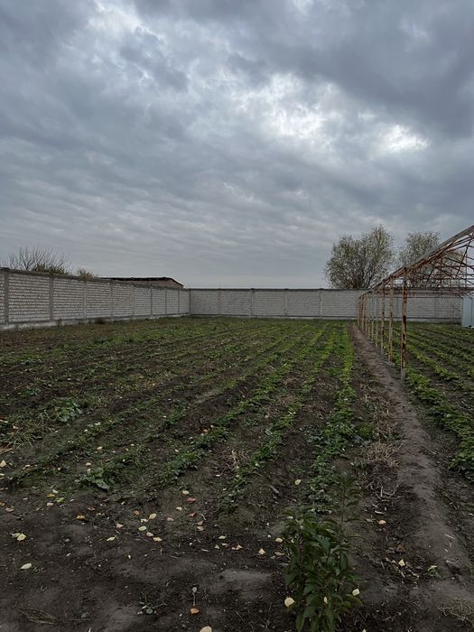 Земля в аренду или продажа