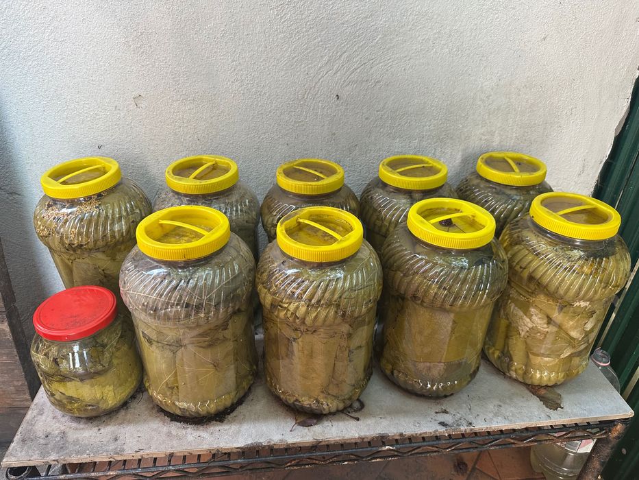 bidon 5L frunză de vița