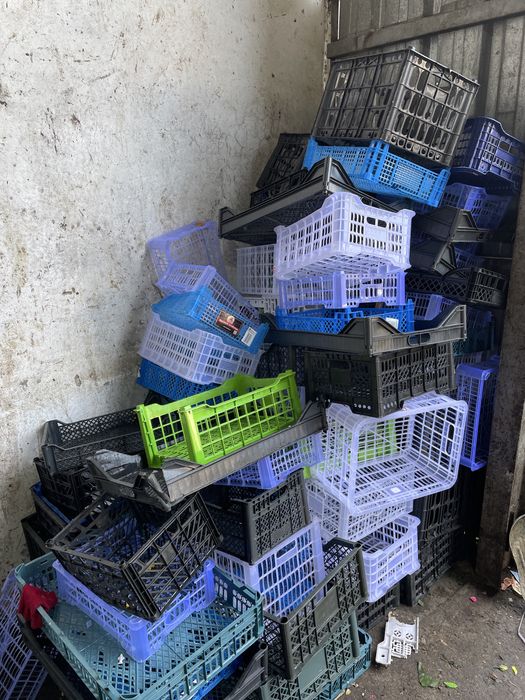 Ящики пластмассовые