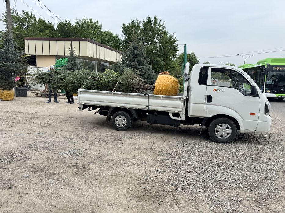 Kia bongo 2023 yil 62000 km tozza moshina tentlari bor