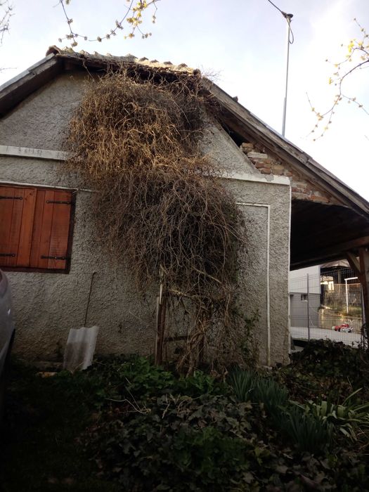 De vanzare case de vinificatie cu Teren 1100 mp