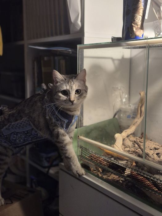 Красавица в любящую семью