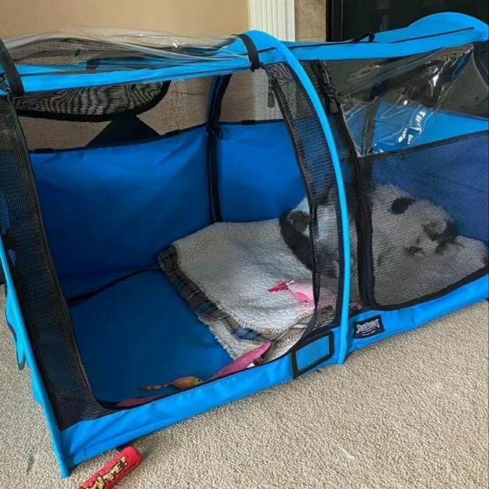 Выставочная палатка для кошек