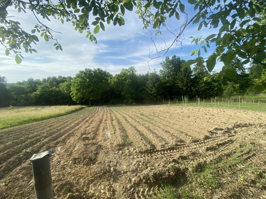 Vand Casa Ariesu de Padure