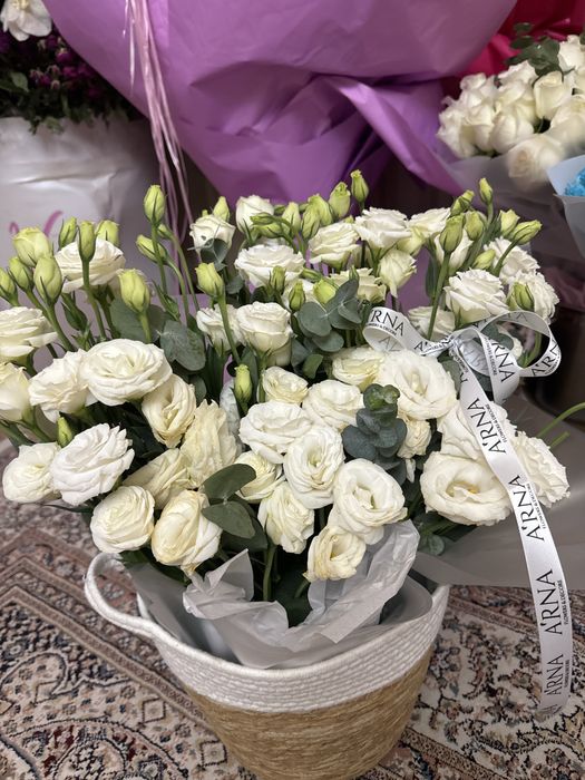 Новые цветы белые кустовые розы