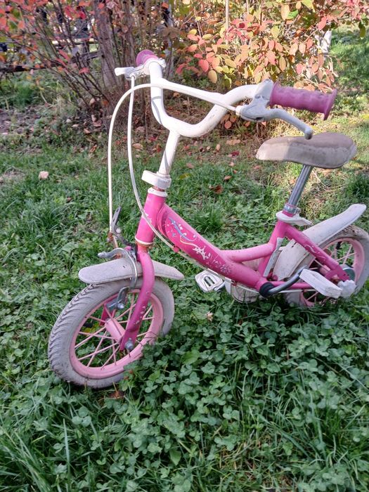 Biciclete si trotineta