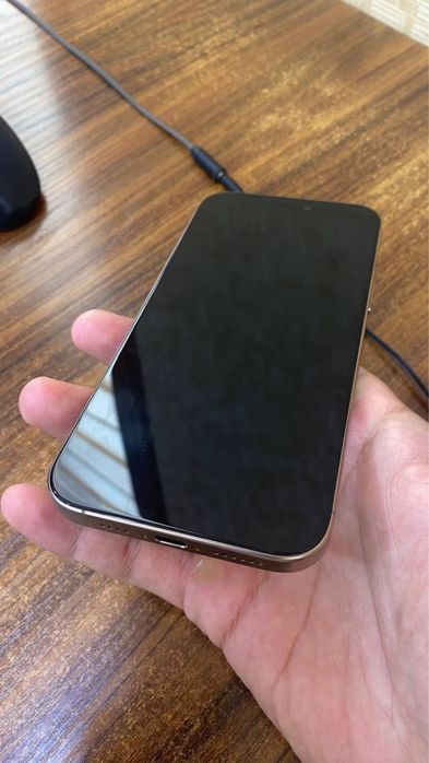 Iphone 16 Pro Max desert