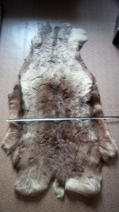 Шерсть северного оленя