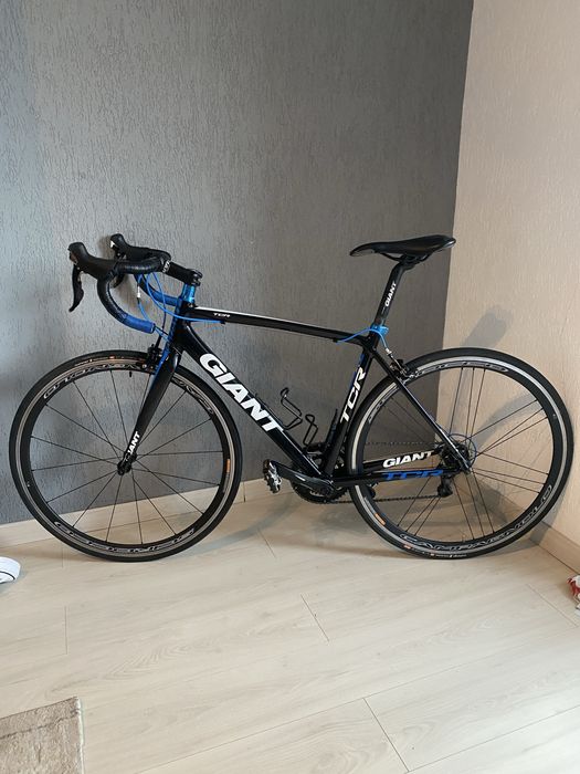 Cursiera Giant TCR