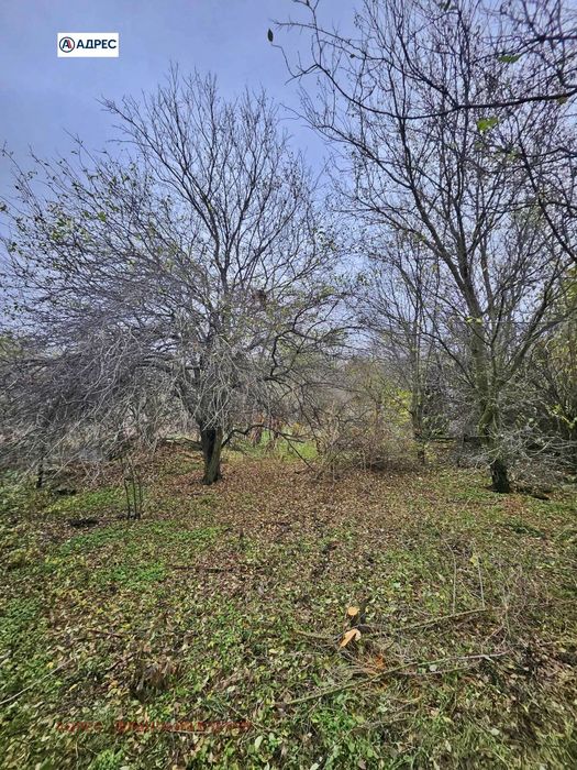 Продава се Къща в с. Тученица, Област Плевен - 74 кв.м за 148 €/кв.м - Снимка #3