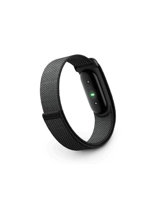Google fitbit air