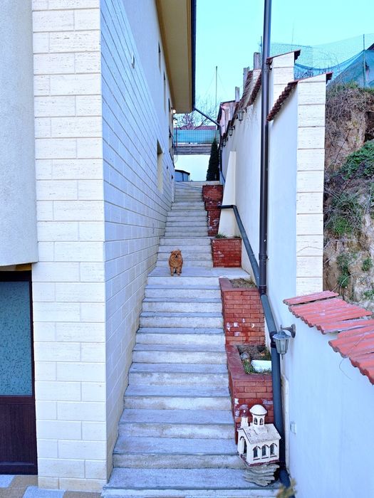 Casa S+D+P ultra central la 150m de piata noua