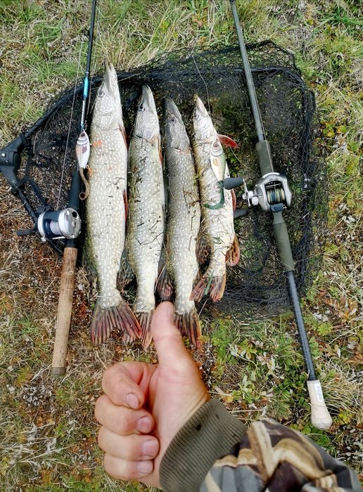 Удилище штекерное Salmo Aggressor Jerk 100