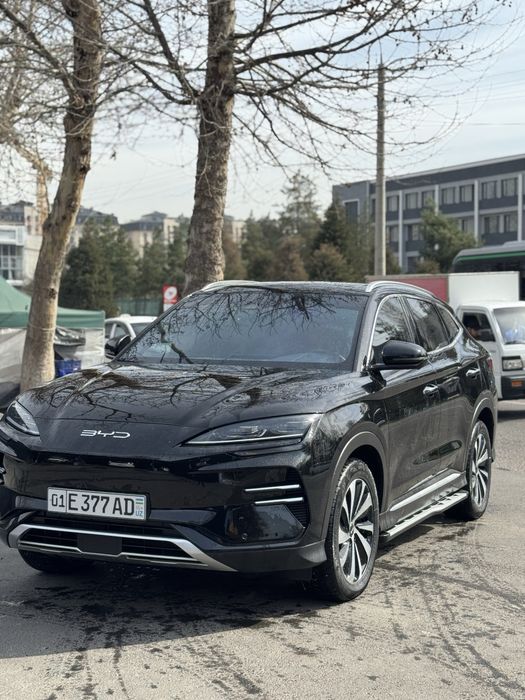 Byd champion 520km 2024 yil