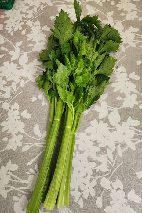 Черешковый сельдерей