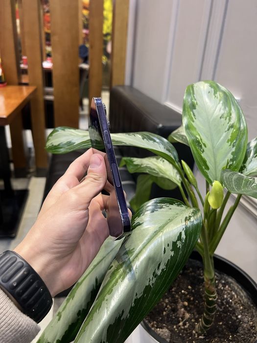 Iphone 14pro purple 88% yomks