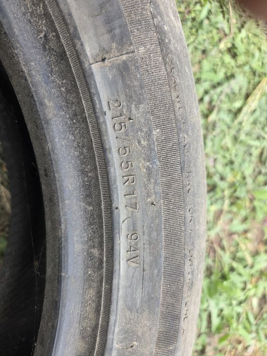 Продам 3 болона на 17 лето